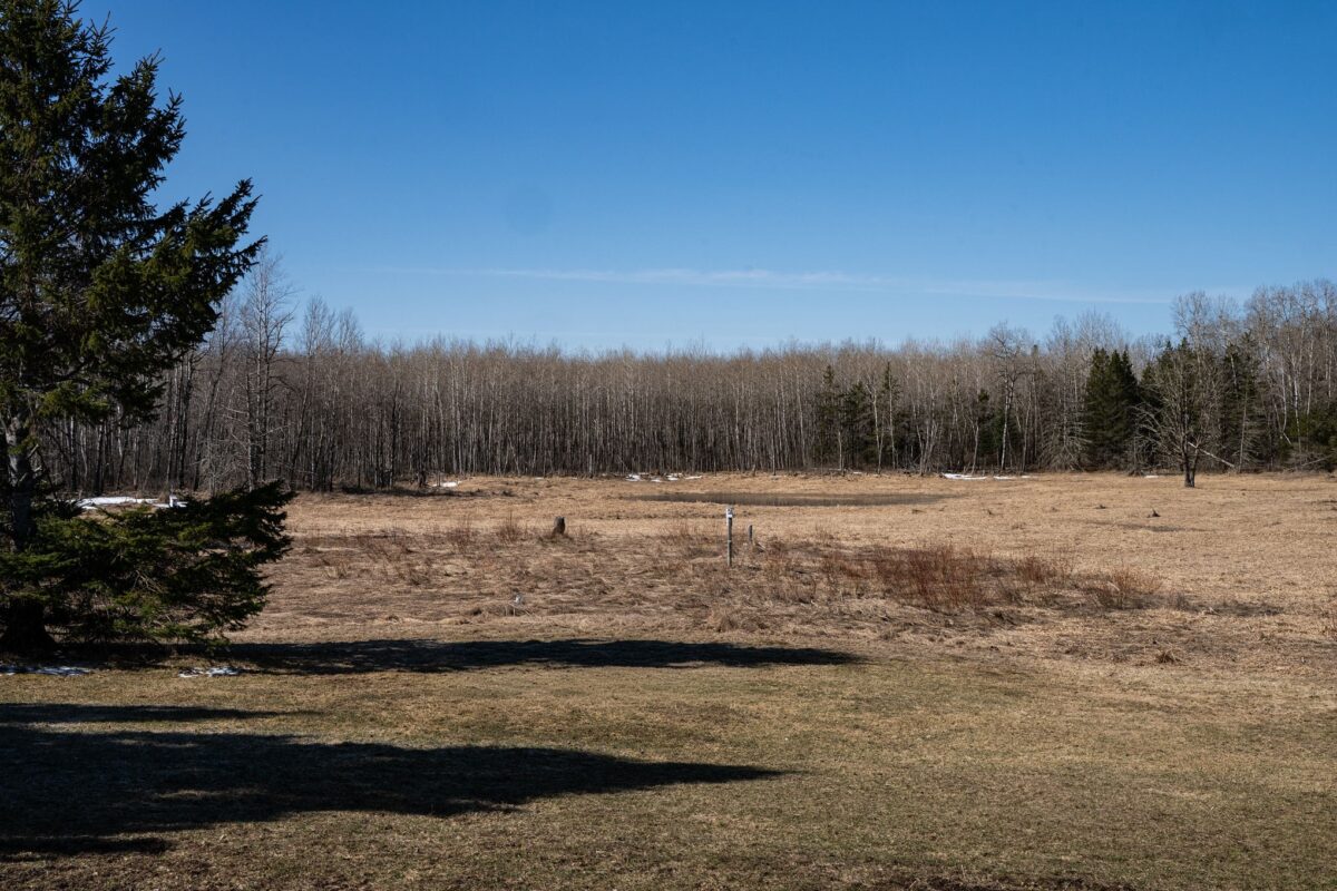 7649N Fishtrap Lake Rd, Winter, WI