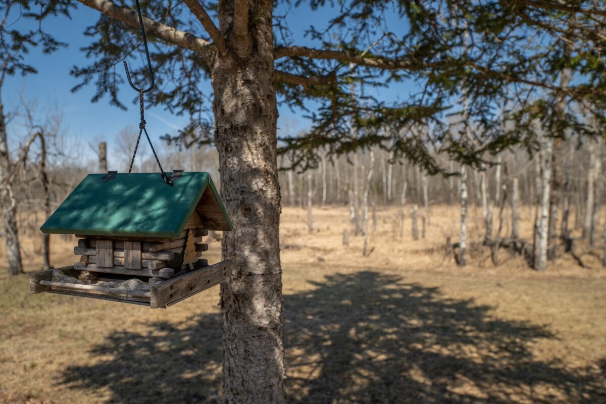 7649N Fishtrap Lake Rd, Winter, WI