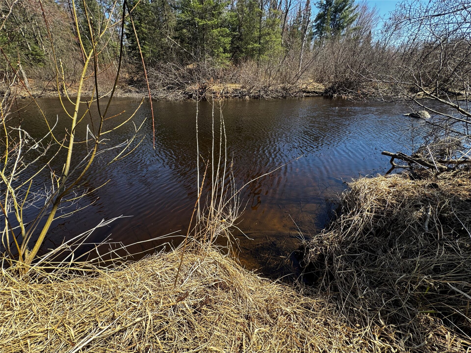 Residential at 778 Schwartz Road, Exeland, WI 54835 — photo 37