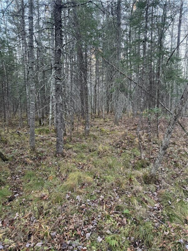 7946 COUNTY RD A, Solon Springs, WI — photo 9