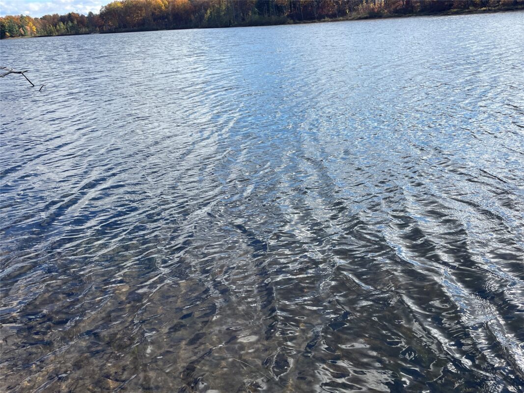 8 W Tanager Trail, Hayward, WI — photo 2