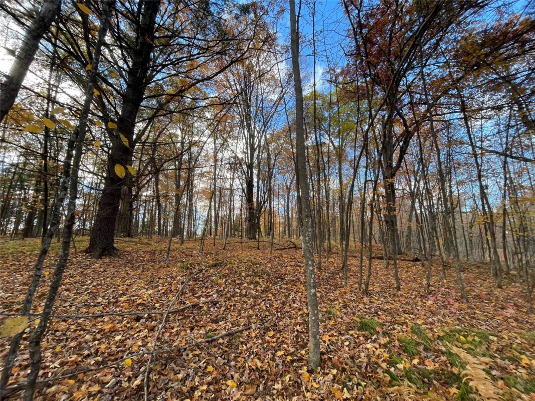8 W Tanager Trail, Hayward, WI — photo 11