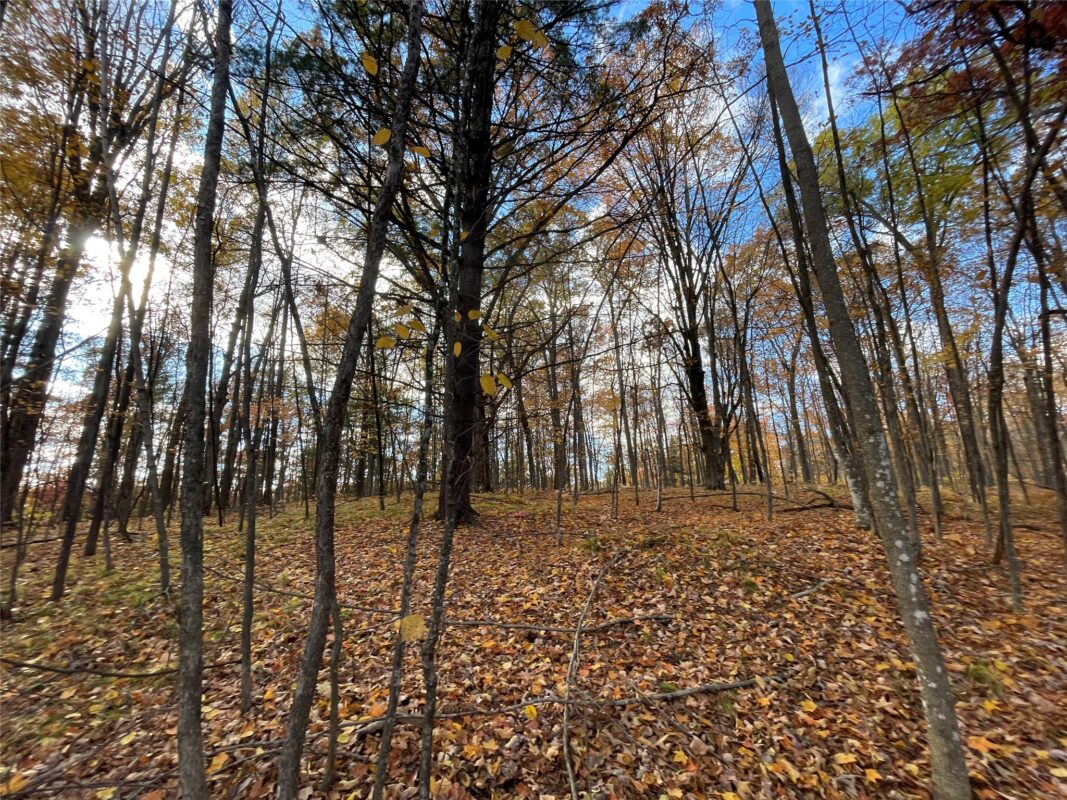 8 W Tanager Trail, Hayward, WI — photo 12