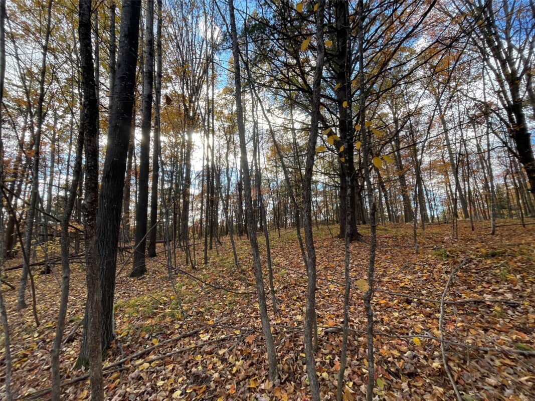 8 W Tanager Trail, Hayward, WI — photo 13