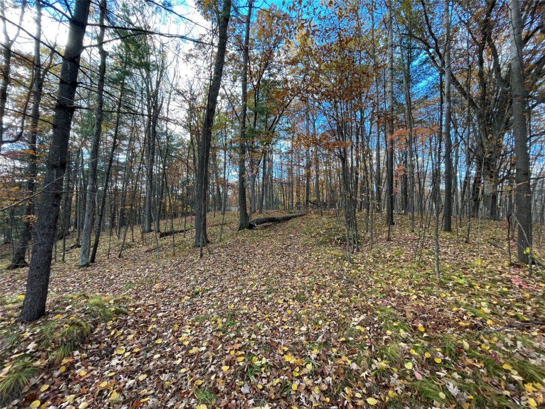 8 W Tanager Trail, Hayward, WI — photo 14