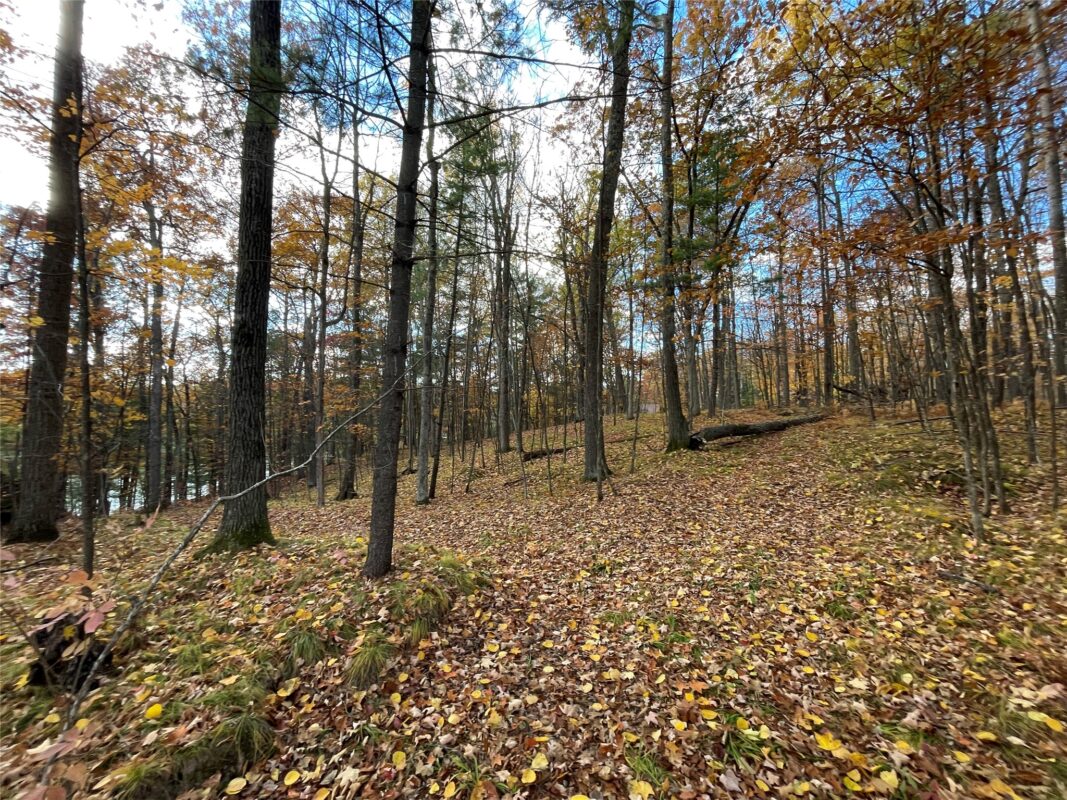 8 W Tanager Trail, Hayward, WI — photo 15