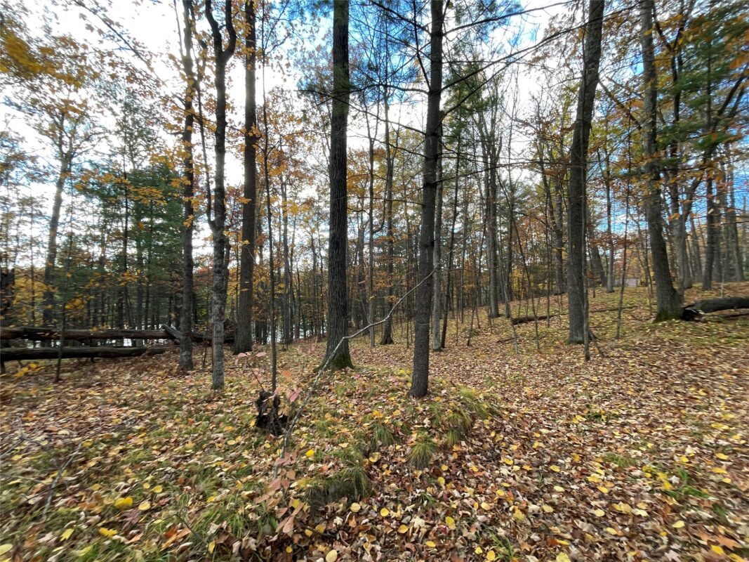 8 W Tanager Trail, Hayward, WI — photo 16