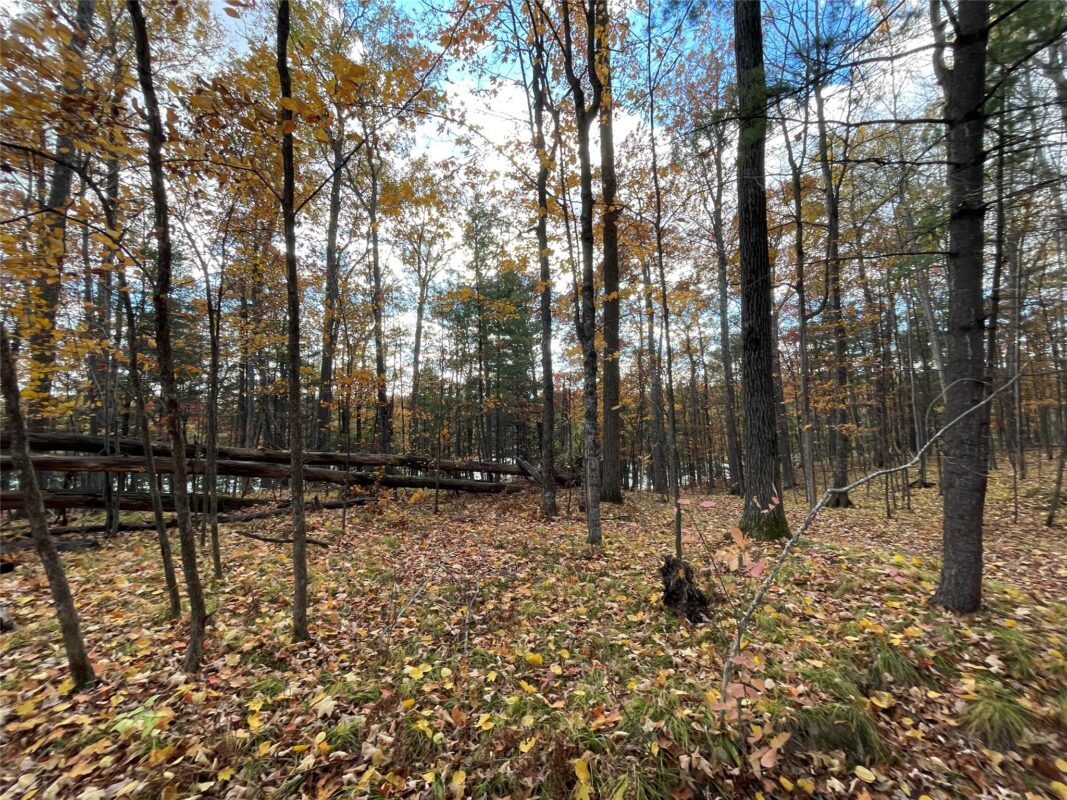 8 W Tanager Trail, Hayward, WI — photo 17