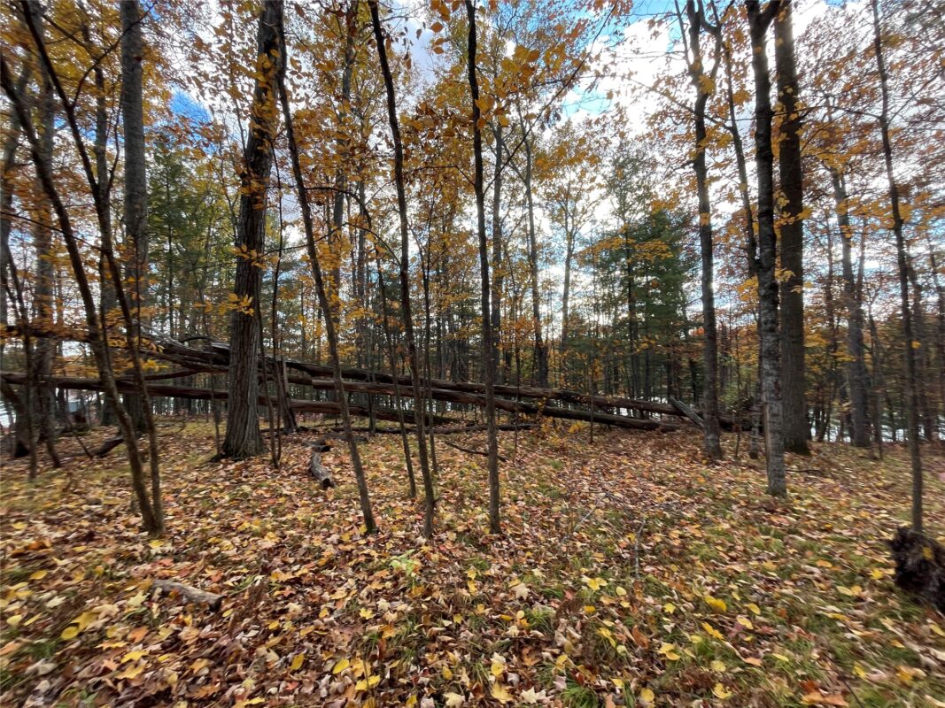 8 W Tanager Trail, Hayward, WI — photo 18