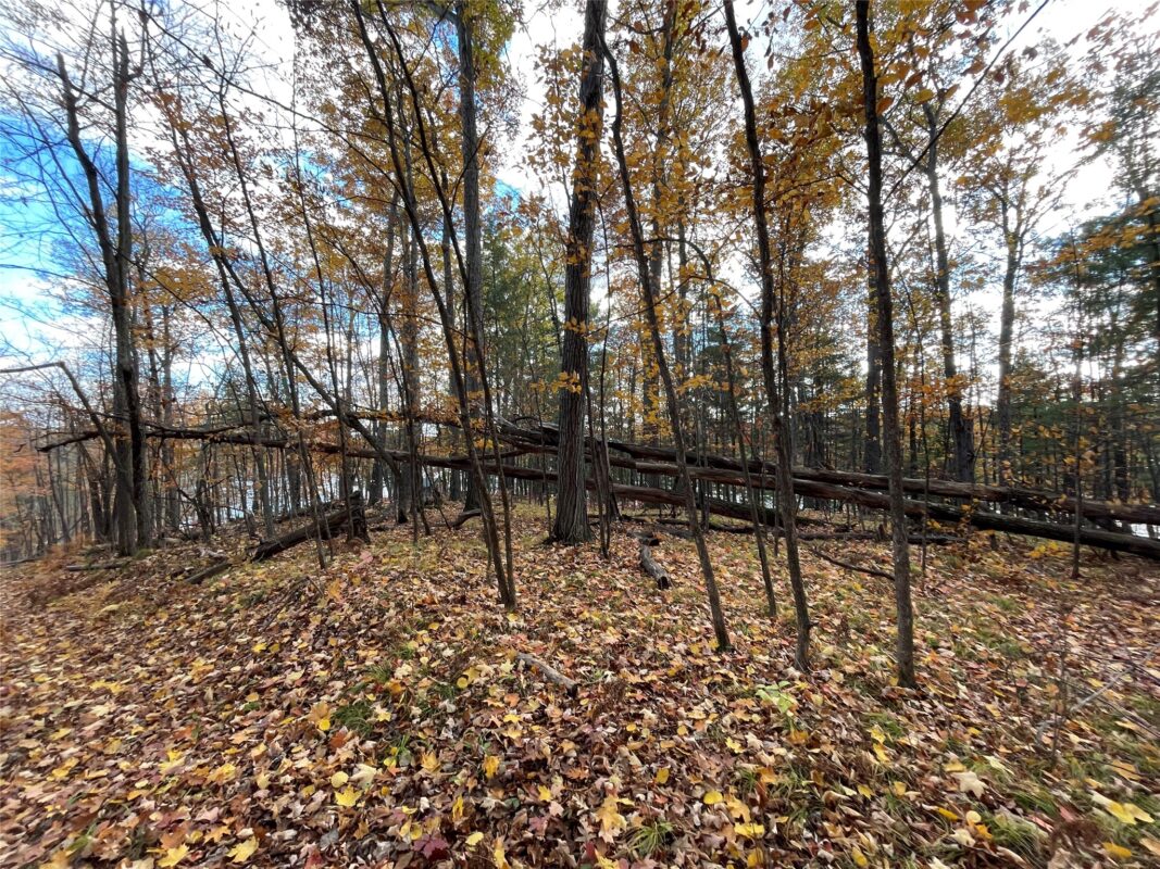 8 W Tanager Trail, Hayward, WI — photo 19
