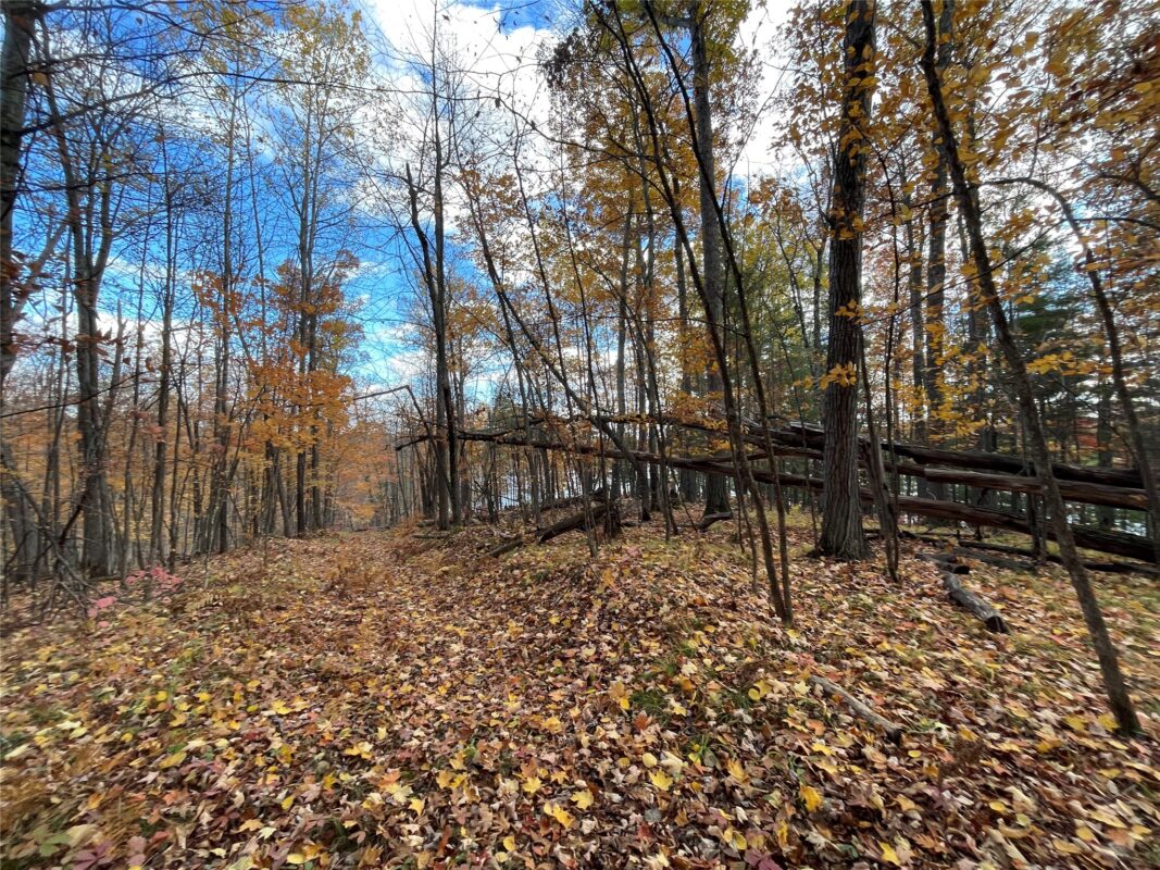 8 W Tanager Trail, Hayward, WI — photo 20