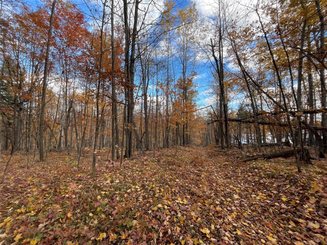 8 W Tanager Trail, Hayward, WI — photo 21