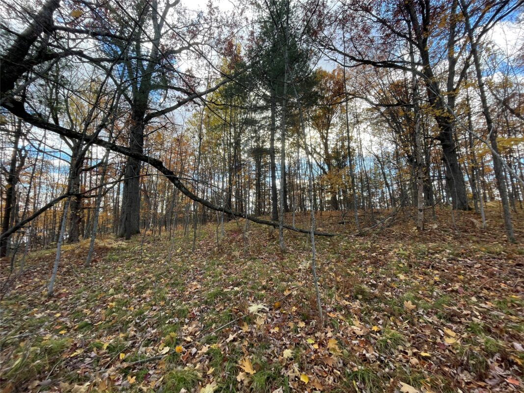 8 W Tanager Trail, Hayward, WI — photo 25