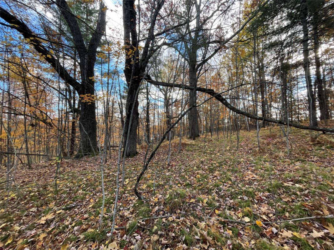 8 W Tanager Trail, Hayward, WI — photo 26