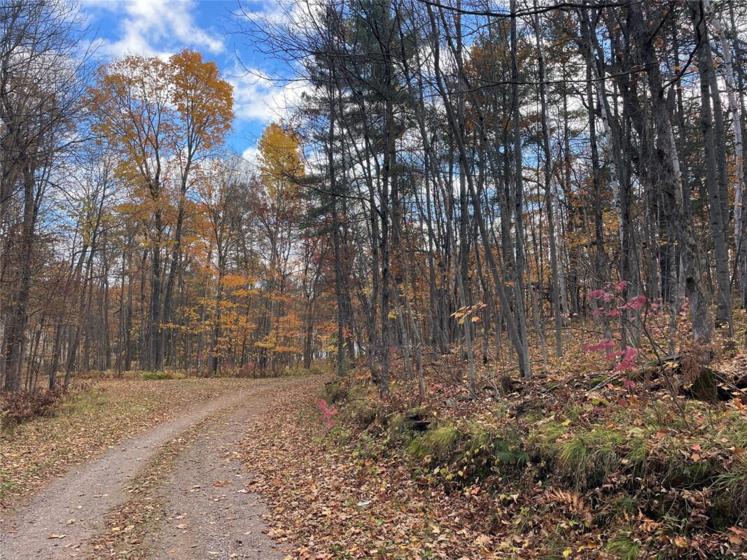 8 W Tanager Trail, Hayward, WI — photo 28