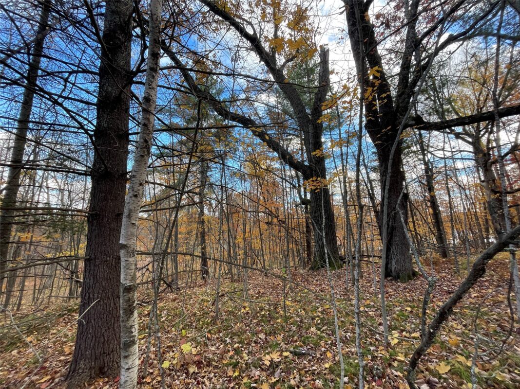 8 W Tanager Trail, Hayward, WI — photo 4