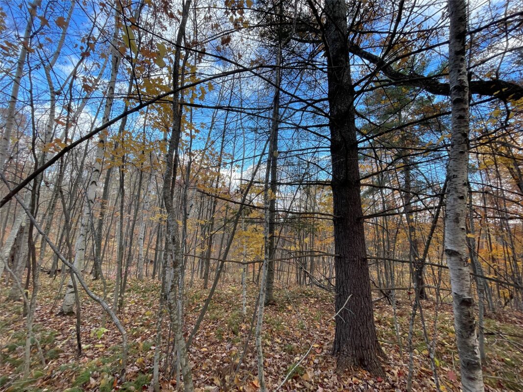 8 W Tanager Trail, Hayward, WI — photo 5