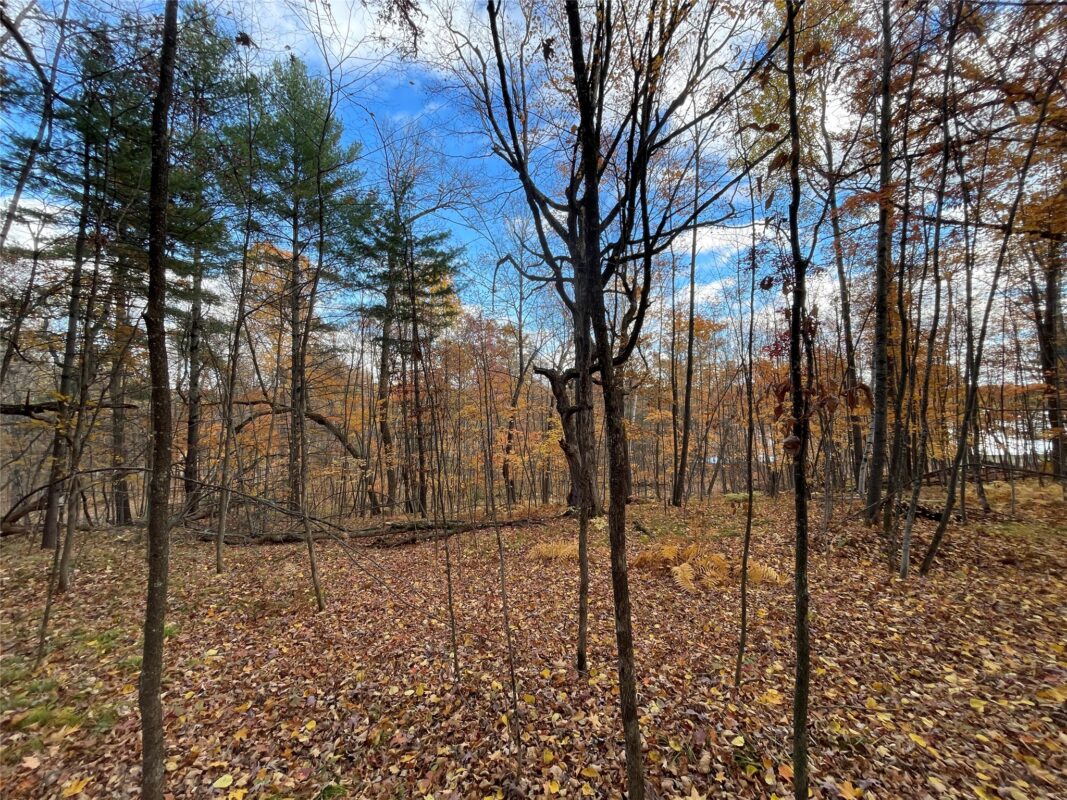 8 W Tanager Trail, Hayward, WI — photo 6