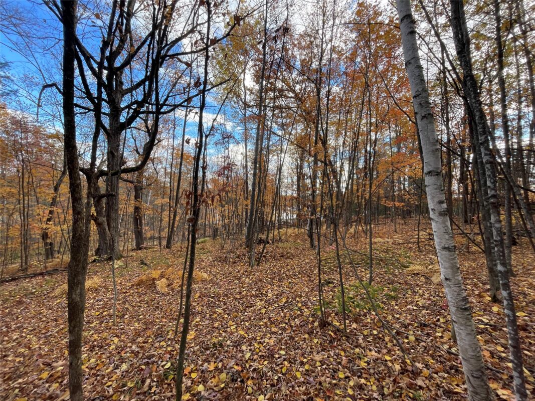 8 W Tanager Trail, Hayward, WI — photo 7