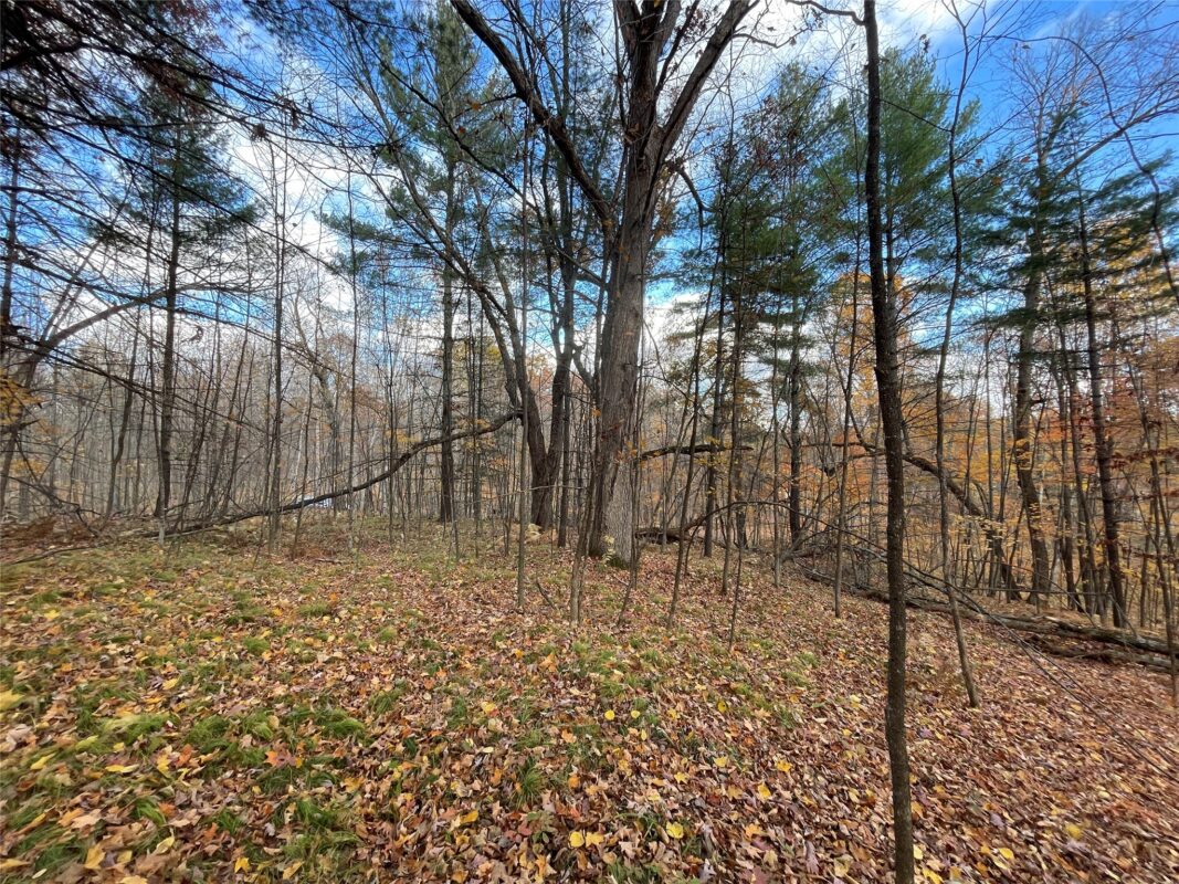 8 W Tanager Trail, Hayward, WI — photo 8