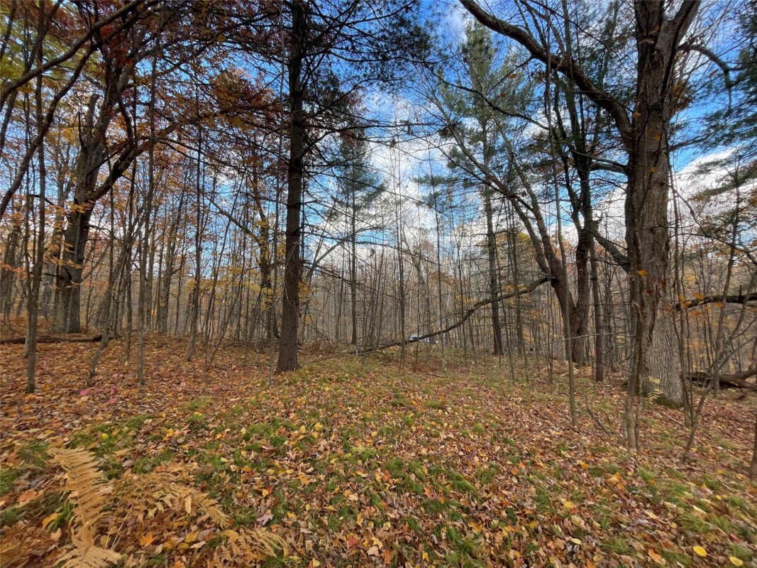 8 W Tanager Trail, Hayward, WI — photo 9