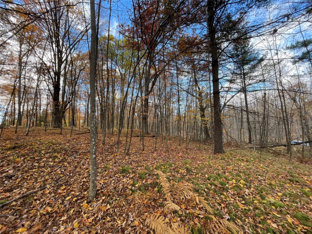 8 W Tanager Trail, Hayward, WI — photo 10