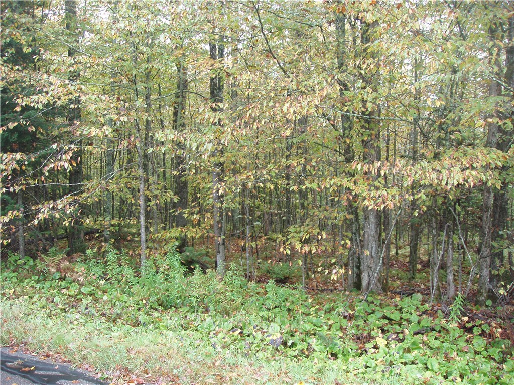 Land at 80+/- Acres On Bass Lake Road, Park Falls, WI 54552 — photo 6
