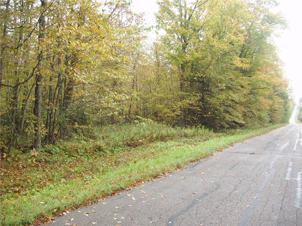Land at 80+/- Acres On Bass Lake Road, Park Falls, WI 54552 — photo 7