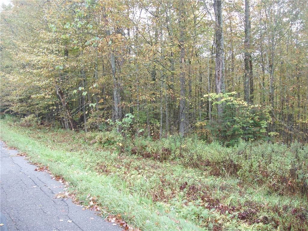 Land at 80+/- Acres On Bass Lake Road, Park Falls, WI 54552 — photo 8