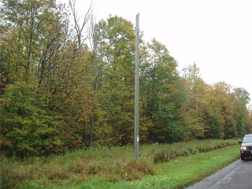 Land at 80+/- Acres On Bass Lake Road, Park Falls, WI 54552 — photo 9