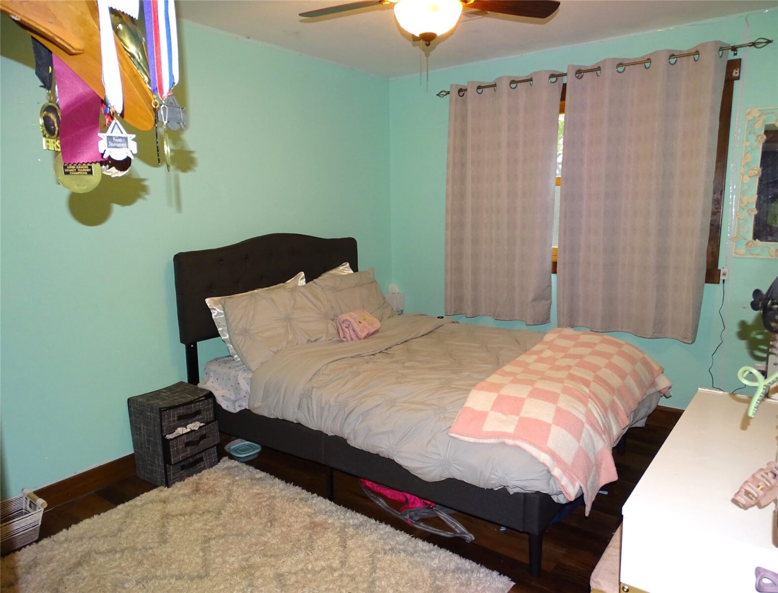 808 Goodrich Street Durand WI 54736 — photo 24