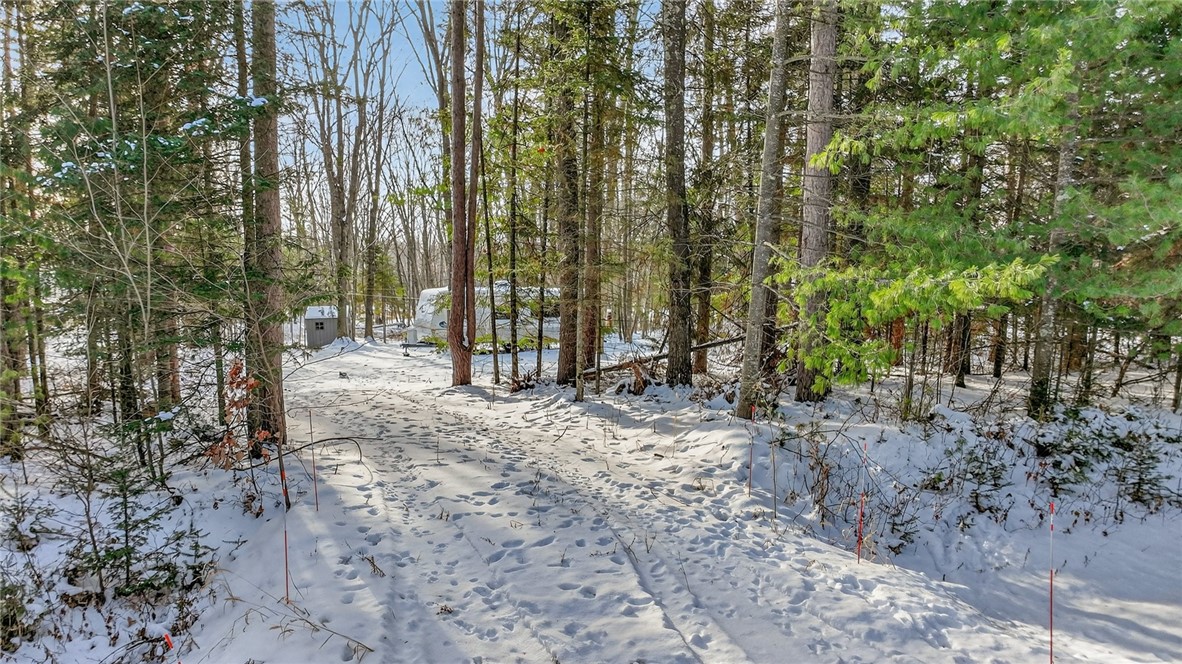 Land at .81 Acre on Chippewa Avenue, Holcombe, WI 54745 — photo 5