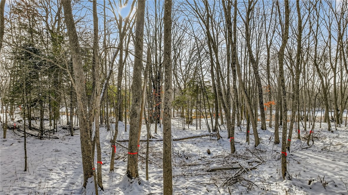 Land at .81 Acre on Chippewa Avenue, Holcombe, WI 54745 — photo 8