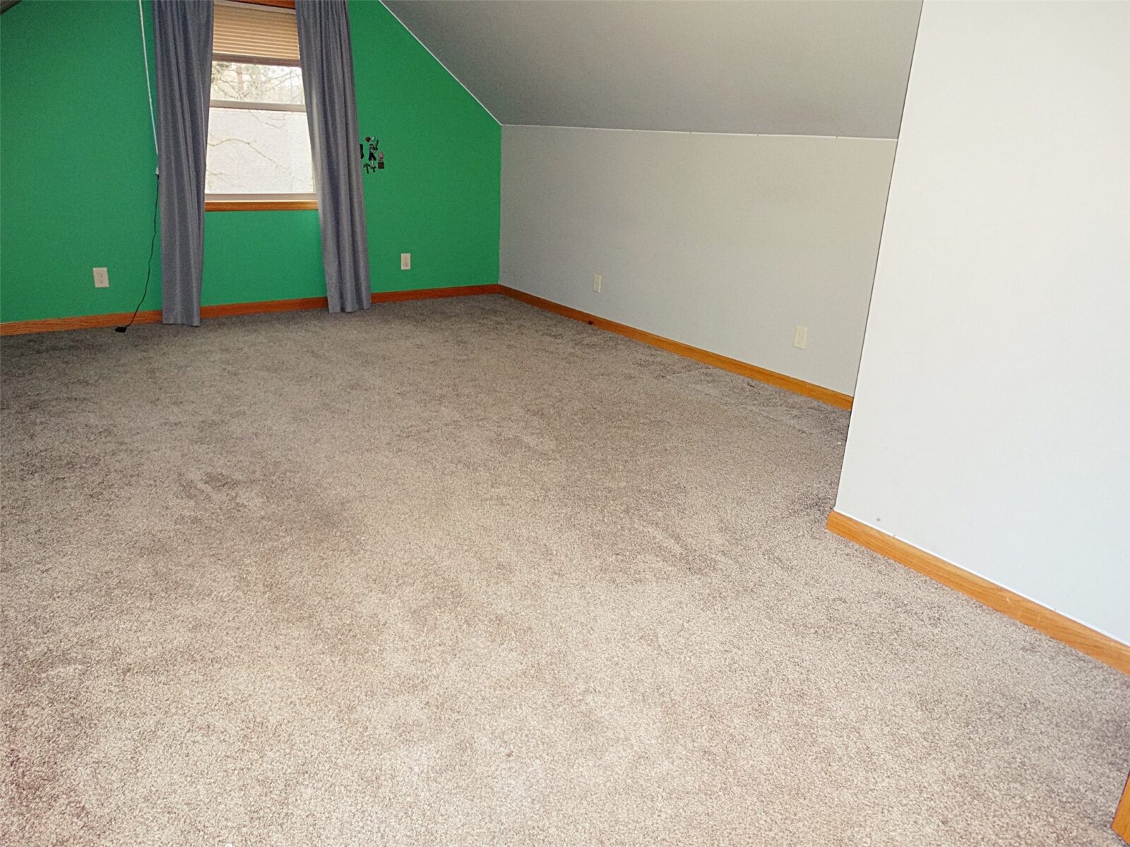 812 E BARKER Street Rice Lake WI 54868 — photo 19