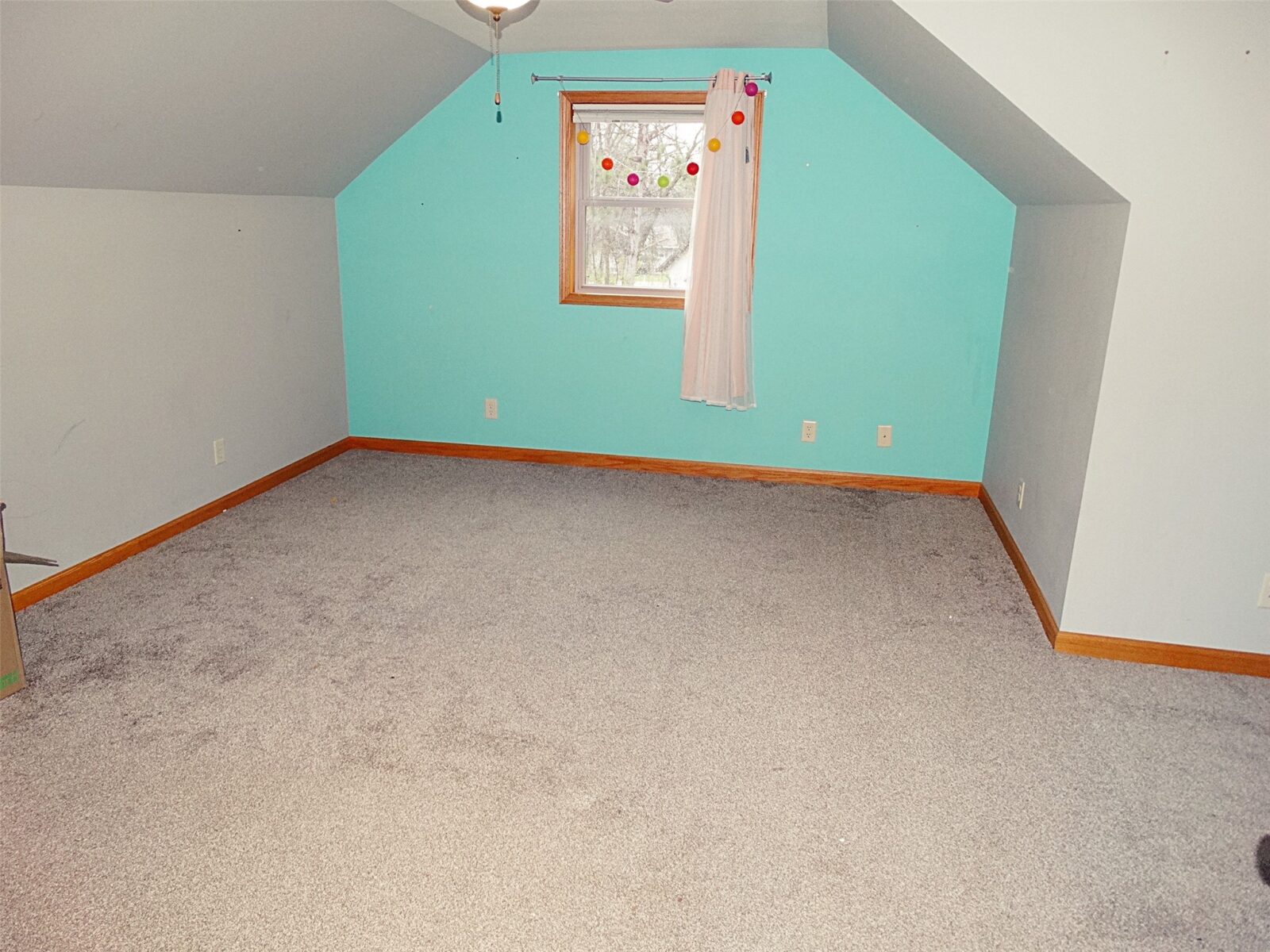 812 E BARKER Street Rice Lake WI 54868 — photo 22