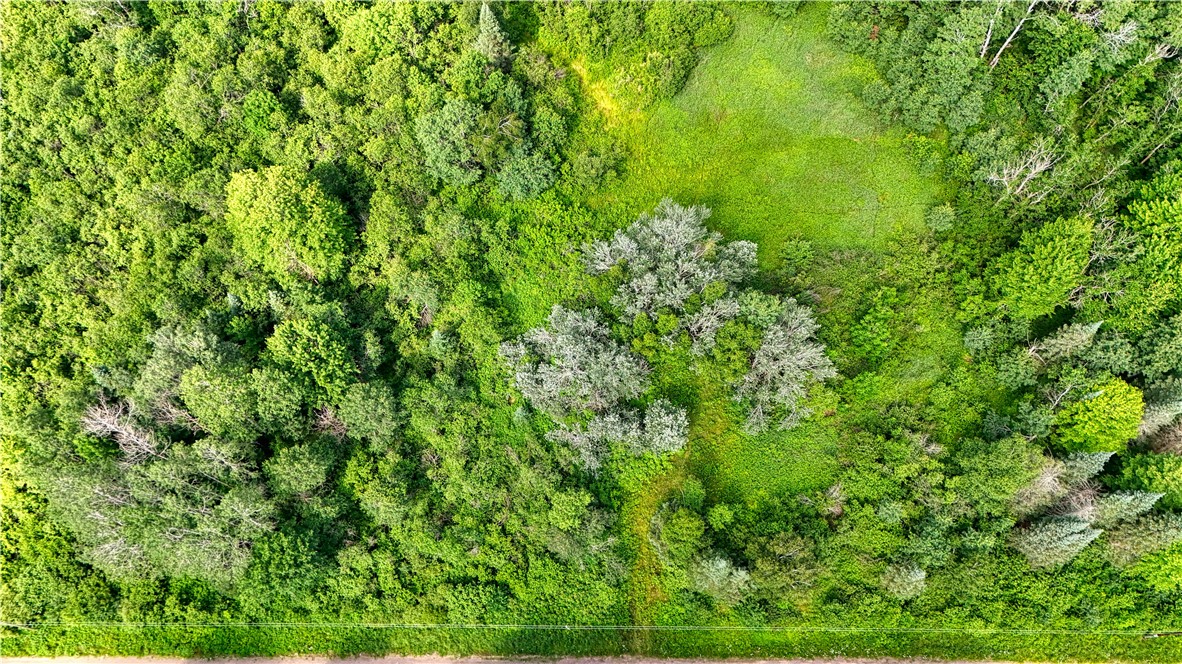 Land at 8143 Wright Road, Winter, WI 54896 — photo 2