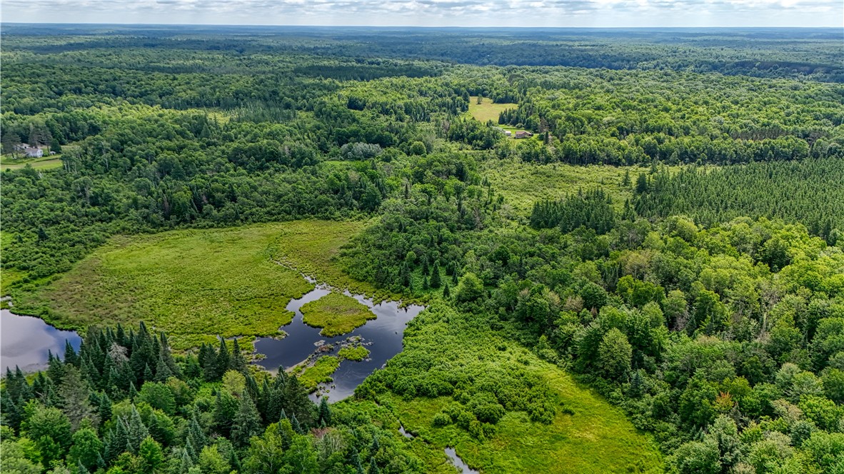 Land at 8143 Wright Road, Winter, WI 54896 — photo 11