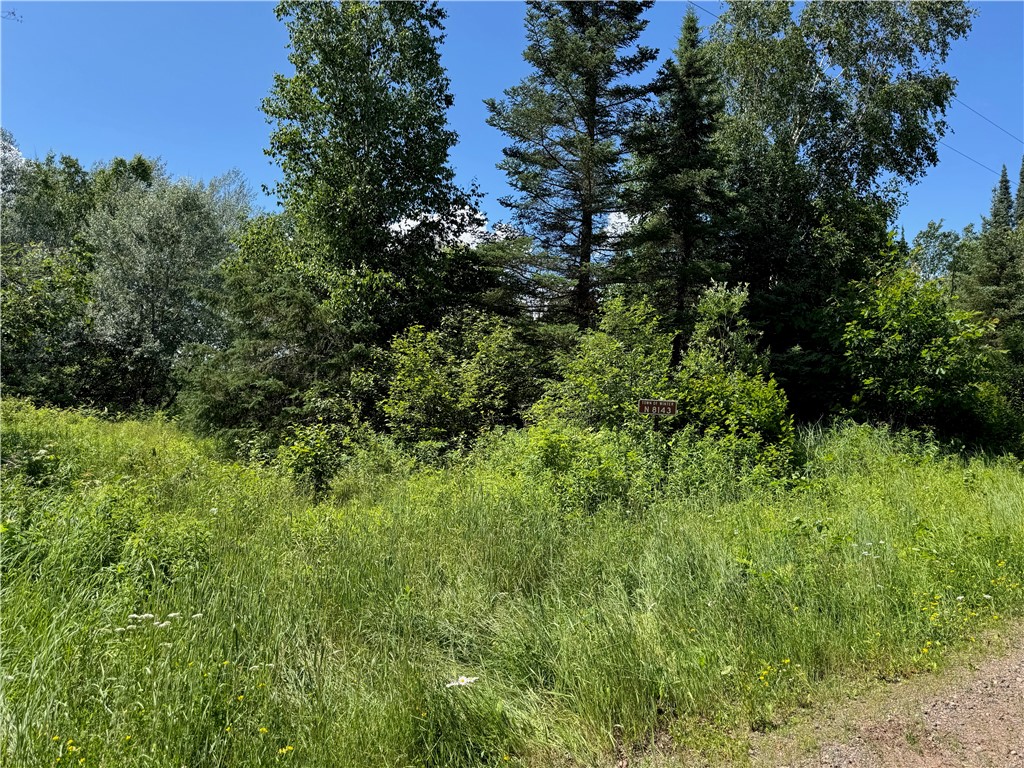 Land at 8143 Wright Road, Winter, WI 54896 — photo 13