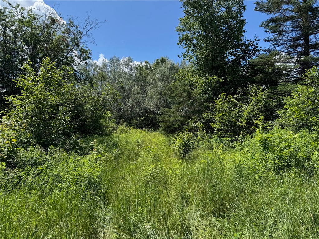 Land at 8143 Wright Road, Winter, WI 54896 — photo 14