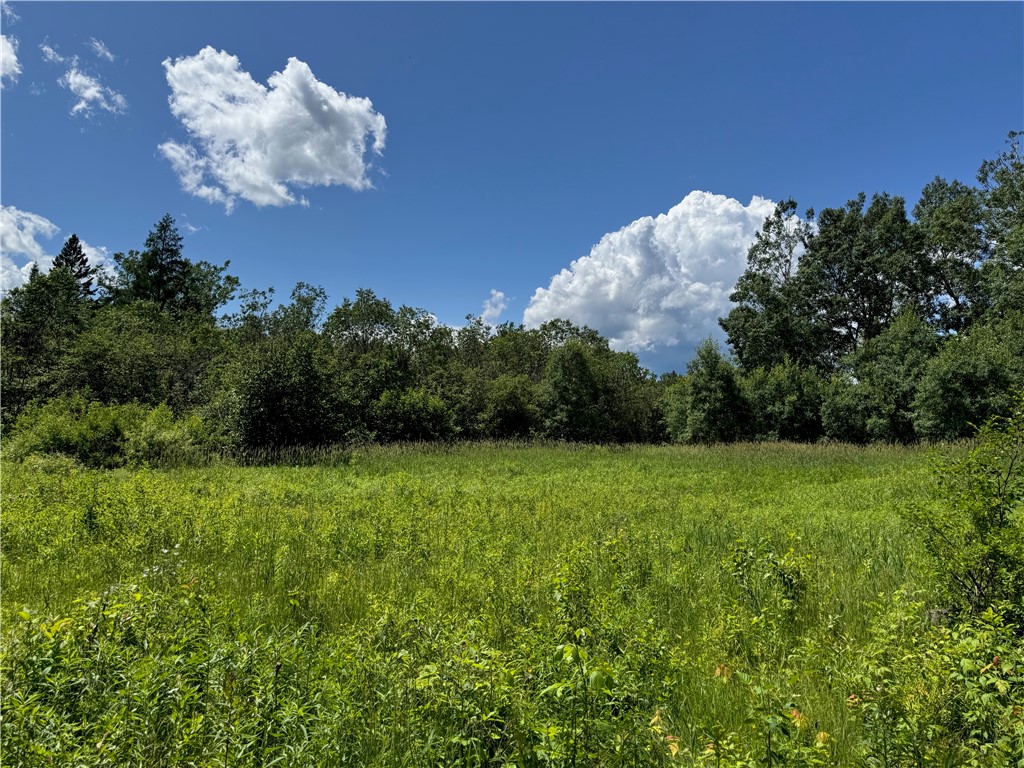 Land at 8143 Wright Road, Winter, WI 54896 — photo 15