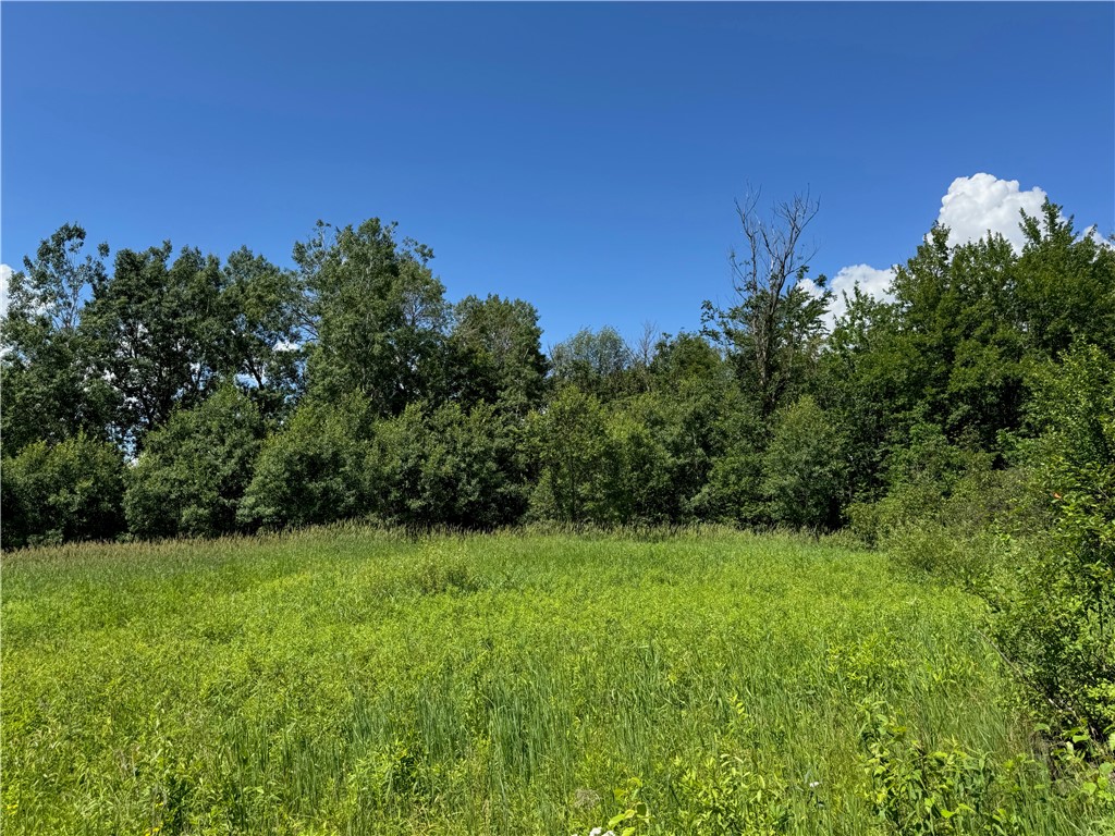 Land at 8143 Wright Road, Winter, WI 54896 — photo 16