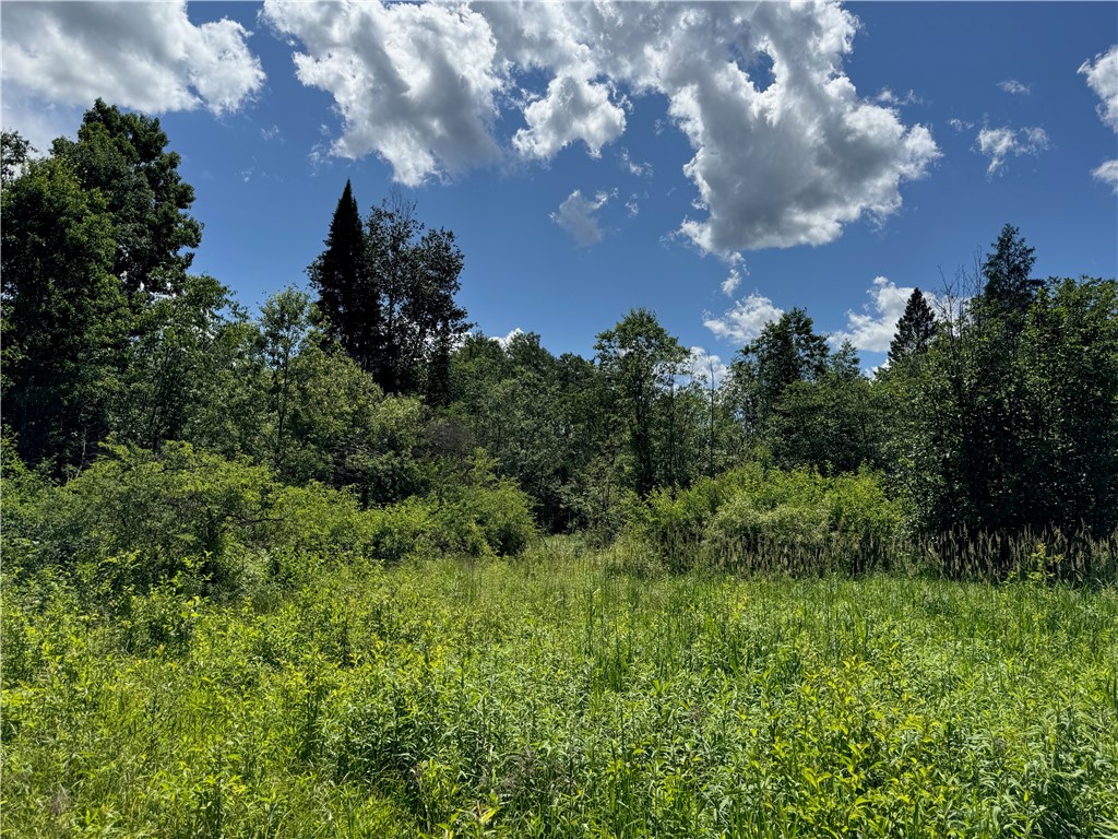 Land at 8143 Wright Road, Winter, WI 54896 — photo 18