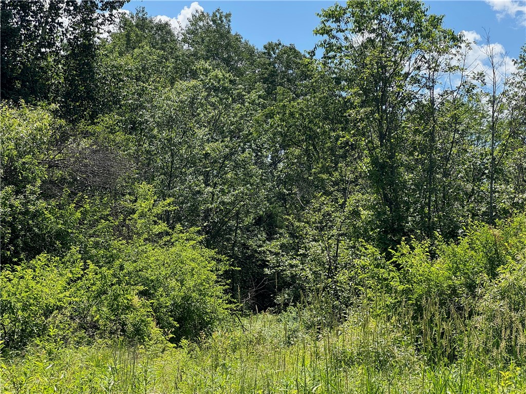 Land at 8143 Wright Road, Winter, WI 54896 — photo 19