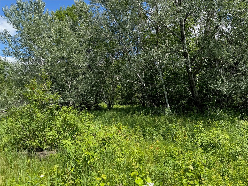 Land at 8143 Wright Road, Winter, WI 54896 — photo 20