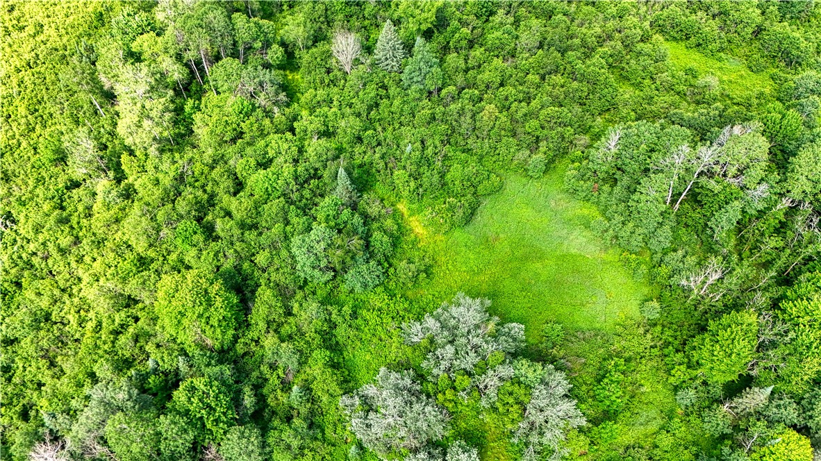 Land at 8143 Wright Road, Winter, WI 54896 — photo 3