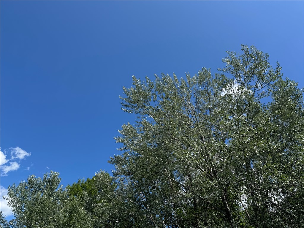 Land at 8143 Wright Road, Winter, WI 54896 — photo 21