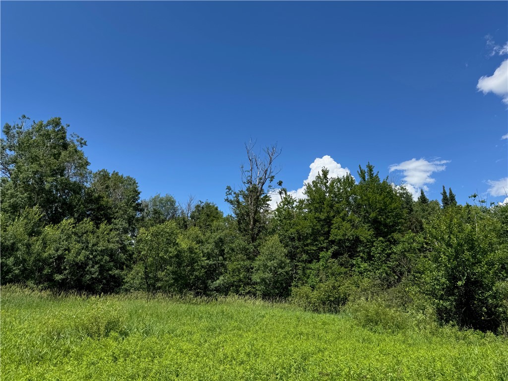 Land at 8143 Wright Road, Winter, WI 54896 — photo 22