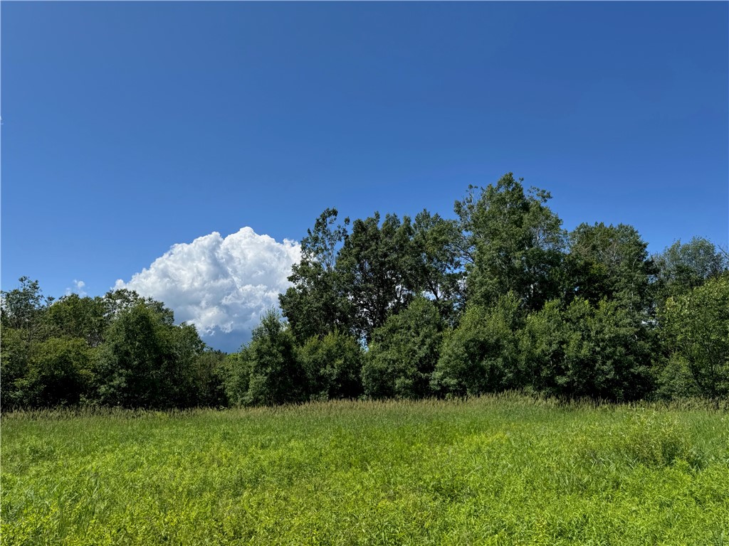 Land at 8143 Wright Road, Winter, WI 54896 — photo 23