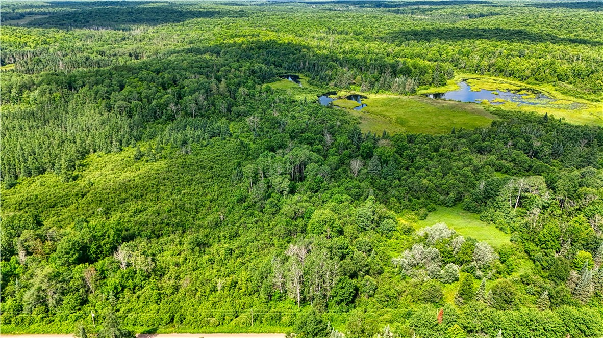 Land at 8143 Wright Road, Winter, WI 54896 — photo 4