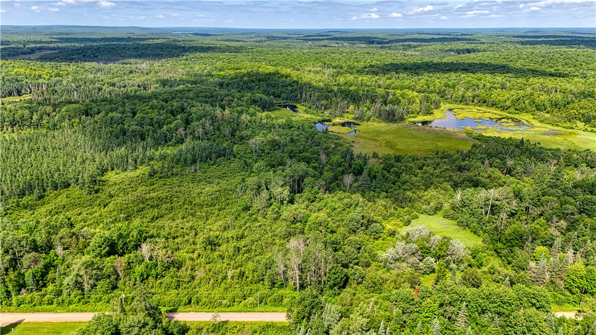 Land at 8143 Wright Road, Winter, WI 54896 — photo 5